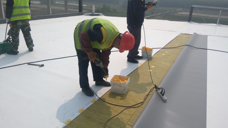 在选购防水卷材时，要关注以下关键性能指标：